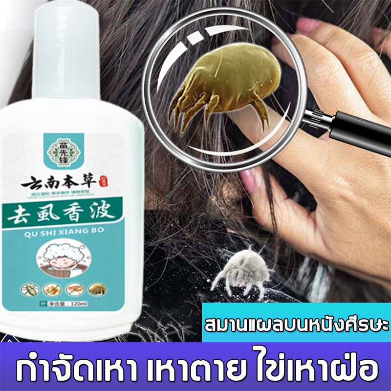 แชมพูกำจัดเหา ยาสระผม สูตรสมุนไพร ยาฆ่าเหา เหาตาย ไข่เหาฝ่อ กำจัดเหาและไข่ แก้คัน กลิ่นหอม อ่อนโยน120ML