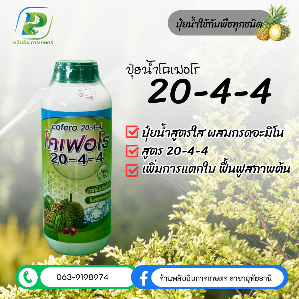 ปุ๋ยน้ำโคเฟอโร่ สูตร 20-4-4