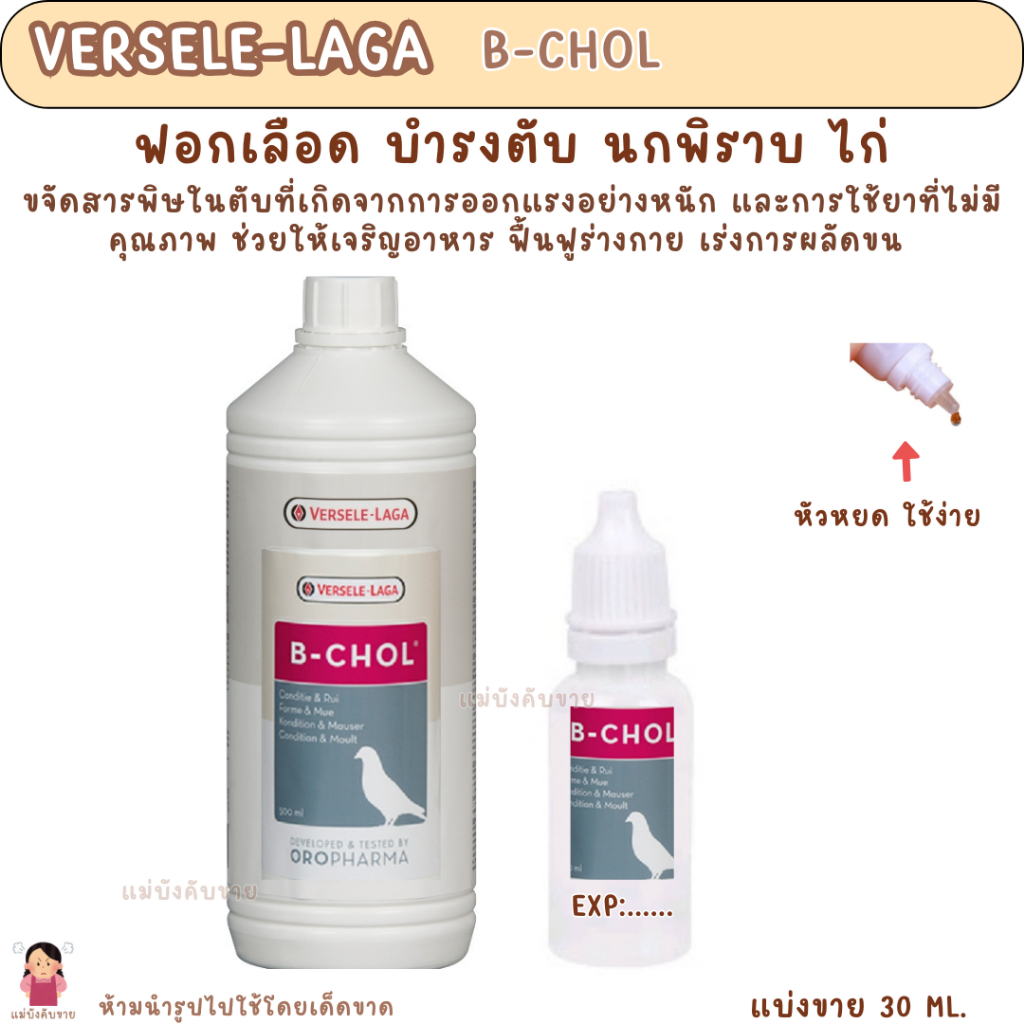 B-CHOL (แบ่งขาย 30 ML.) วิตามินนกทุกสายพันธุ์