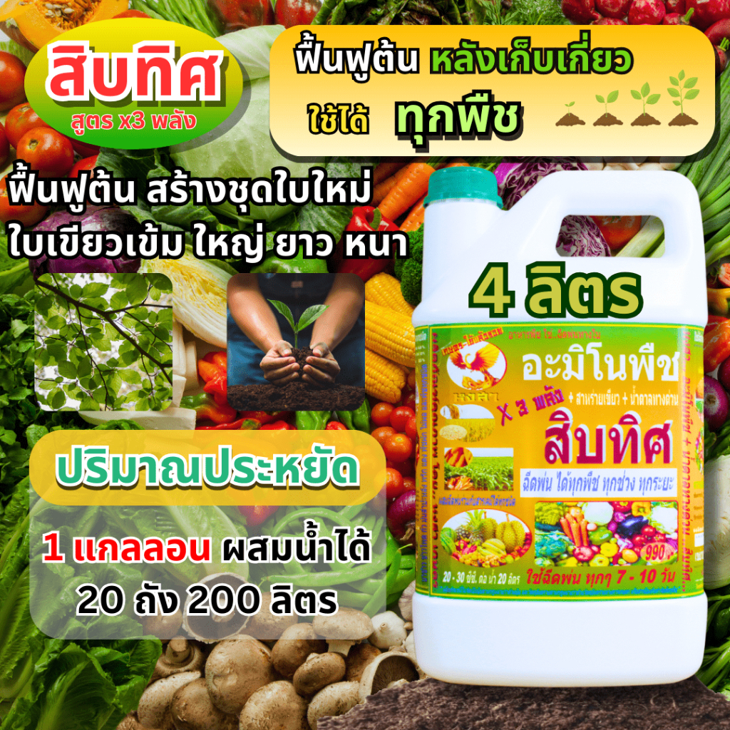 สิบทิศ ขนาด 4 ลิตร  ฟื้นฟูต้น บำรุงต้น เตรียมต้น สร้างยอด สร้างใบ   อาหารพืช ฉีดพ่นทางใบ – โปรปัง
