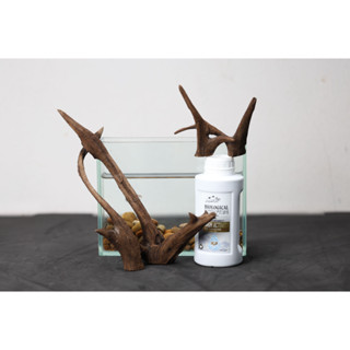 Natural Wood Driftwood  set b