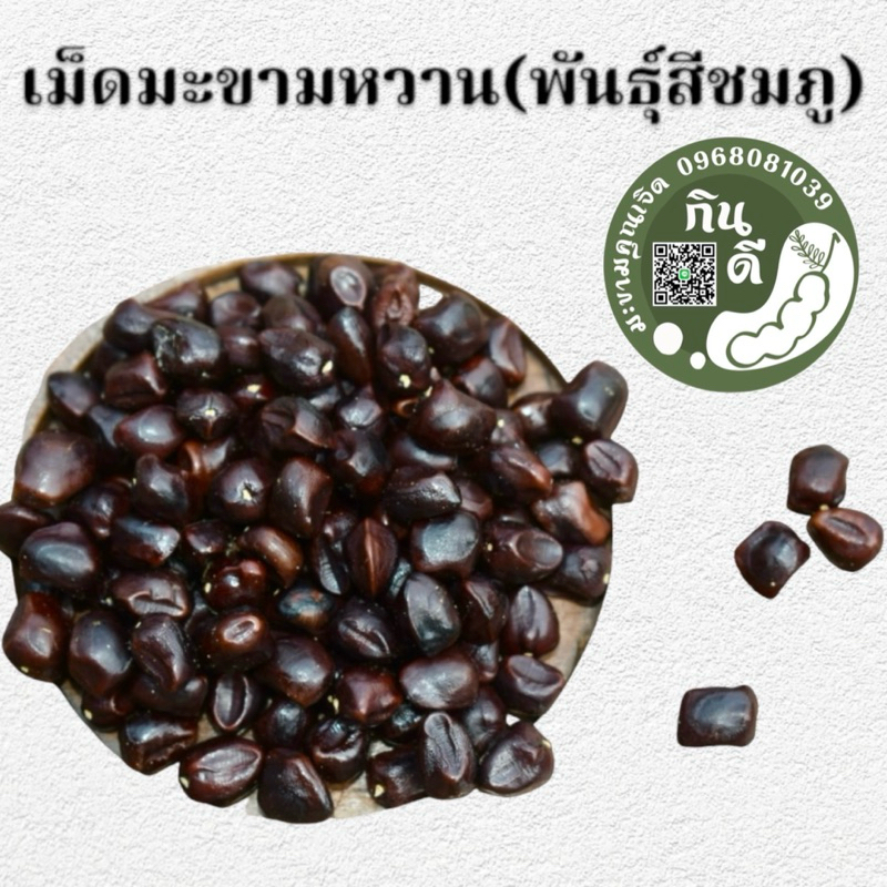 เม็ดมะขามสำหรับปลูก หรือคั่ว 500 กรัม เม็ดมะขามหวานพันธุ์สีชมพู