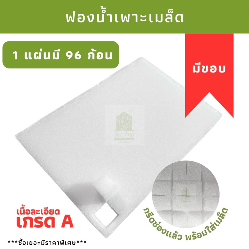 ฟองน้ำเพาะเมล็ด ฟองน้ำปลูกผัก ฟองน้ำเพาะกล้า ฟองน้ำปลูกผักไฮโดรโปนิกส์