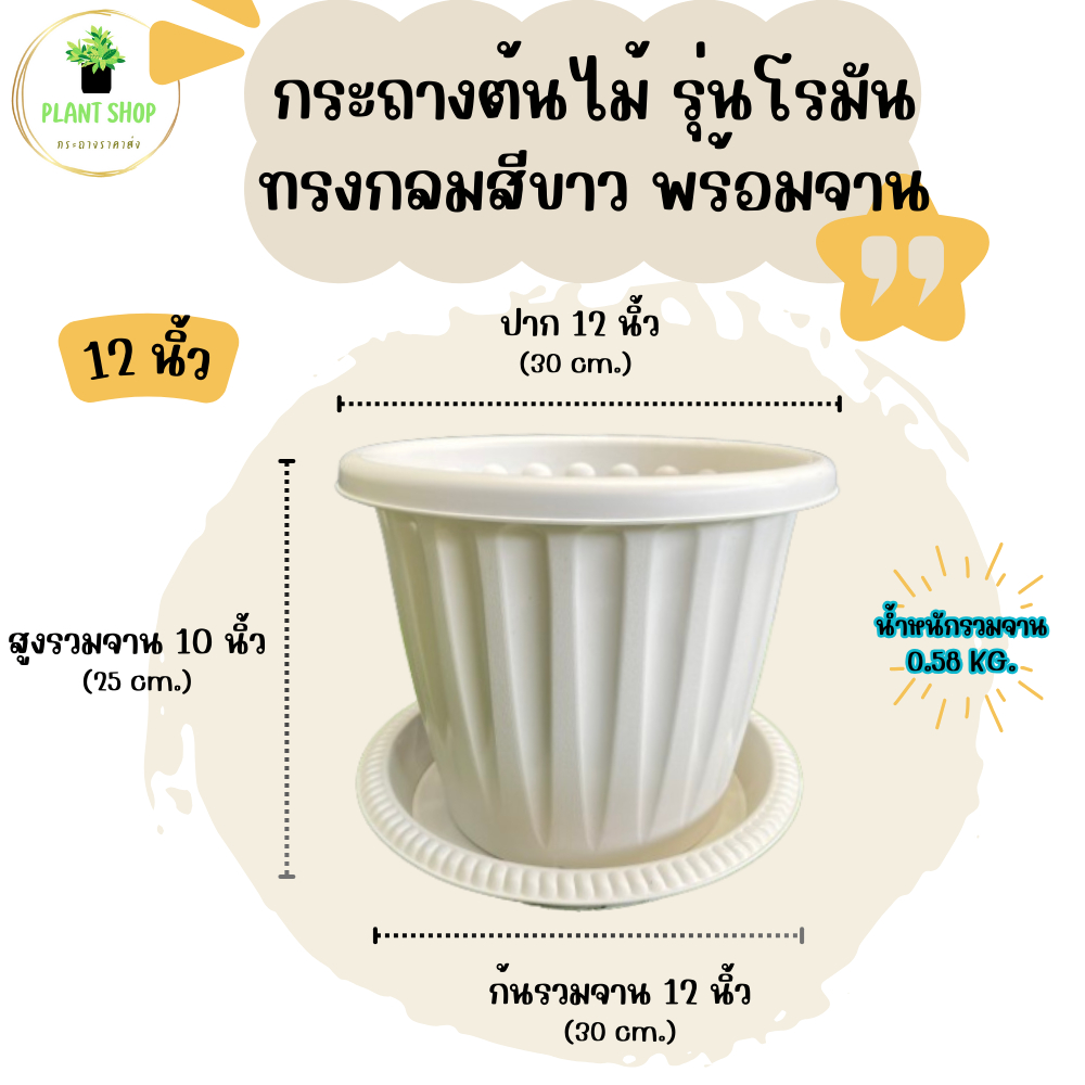 กระถางต้นไม้ รุ่นโรมัน ทรงกลมสีขาว พร้อมจาน ขนาด 12 นิ้ว