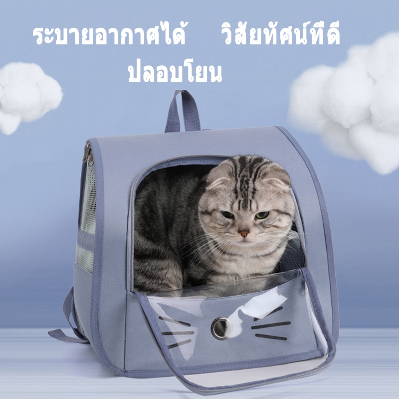 รูปภาพ 5