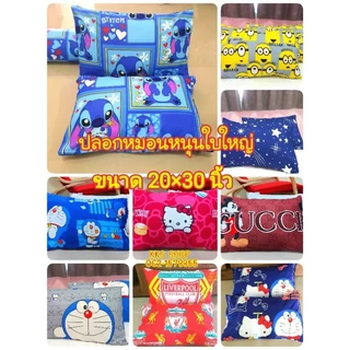 ปลอกหมอนหนุน ขนาด 19×29 นิ้ว พร้อมส่ง ผ้านุ่ม สีไม่ตก รับประกันคุณภาพคุ้มราคา✅️✅️