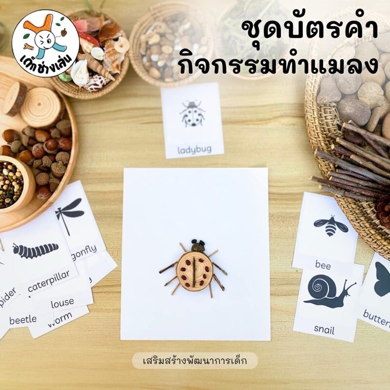 ชุดแผ่นกิจกรรมแมลง กิจกรรมแนว sensory play, loose parts play บัตรคำศัพท์แมลง worksheet แฟลชการ์ด flash cards Montessori