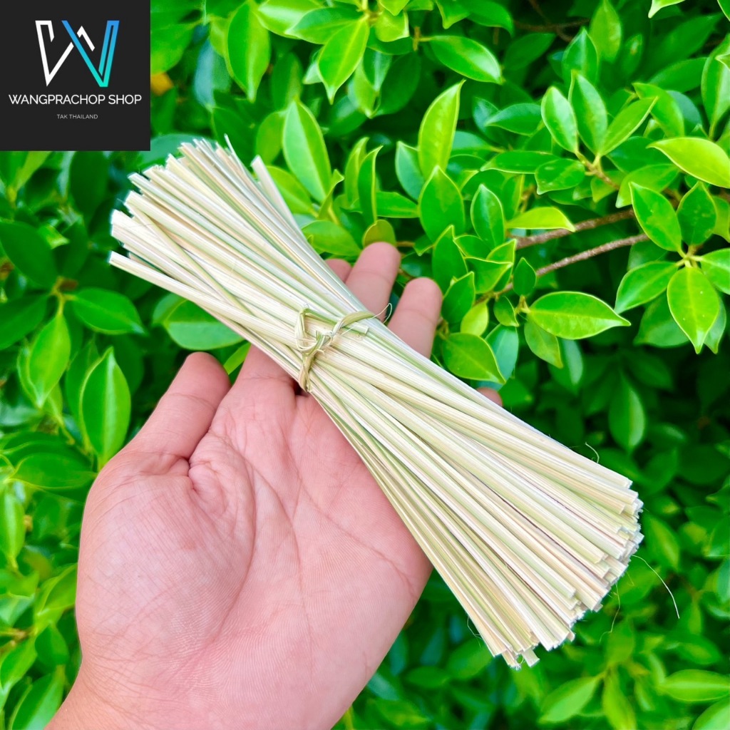 ตอกมัดไม้หนีบไก่ (รักษ์โลก) ขนาด 0.2-0.3 มม จำนวน 100 เส้น ตอกมัดไม้ปิ้งไก่ ตอกมัดไก่ย่าง ลวดมันไก่ ลวด ลวดมันไก่ย่าง - รูปที่ 2