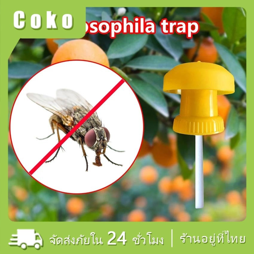 อุปกรณ์ดักแมลง ดักแมลงวัน ล่อแมลงวันทอง เปลี่ยนสำลีง่าย ใช้ได้กับทุกขวด
