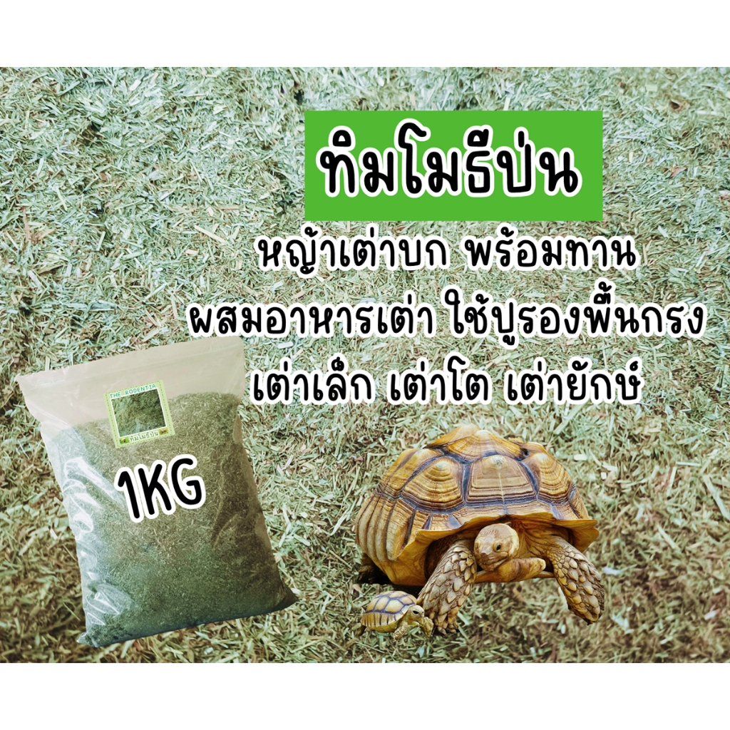 **หญ้าเต่าพร้อมส่ง** ทิมป่นเต่า/หญ้าป่นเต่าบก/ทิโมธีป่น/ทิมโมธี/หญ้าทิมป่น/หญ้าป่นเต่าทิมล้วนไม่ผสม