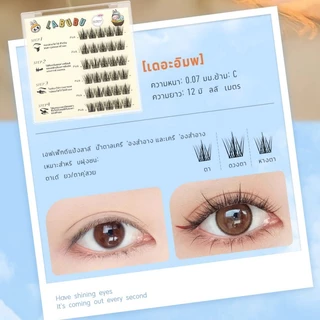 【จัดส่งจากประเทศไทย】ขนตาปลอม 3D แบบช่อ มีกาวในตัว แบบสามชิ้น ต่อขนตาธรรมชาติ ตาโต ติดทน เหมาะสำหรับมือใหม่ เทศกาลสาดน้ำ