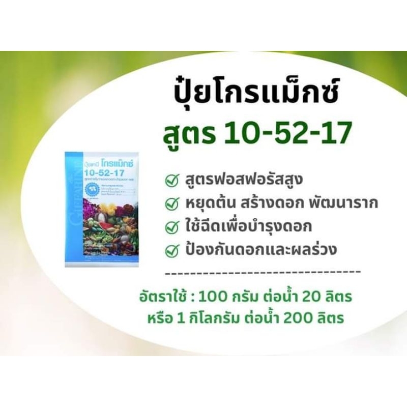 ปุ๋ยกิฟฟารีน โกรแม็กซ์ 10-52-17 สูตรฟอสฟอรัสสูง หยุดต้น สร้างดอก พัฒนาราก