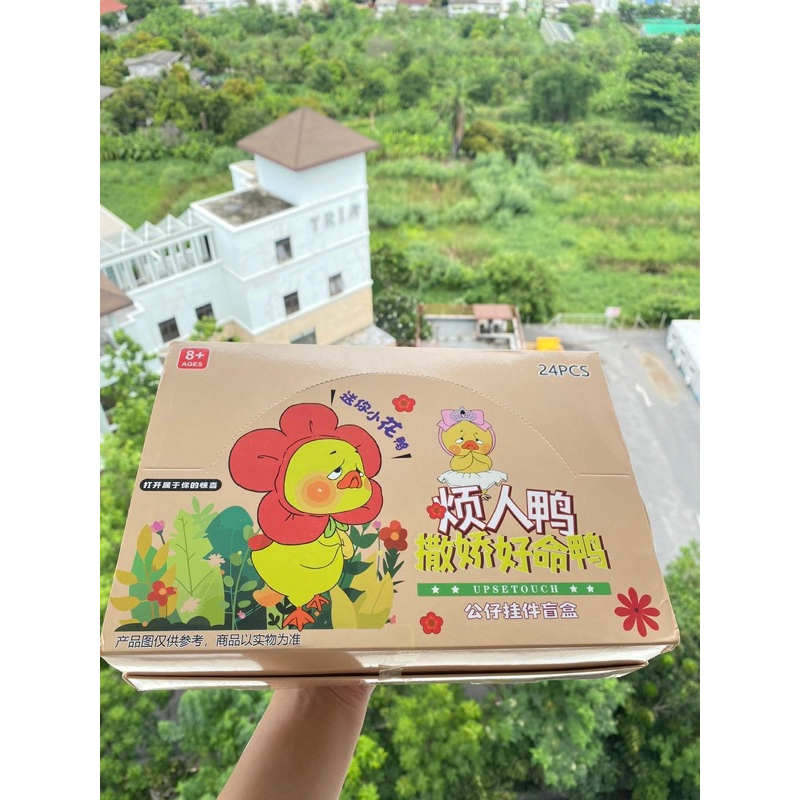 กล่องสุ่มพวงกุญแจupsetduck