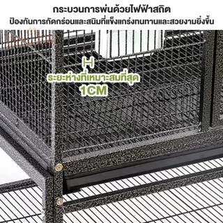 Pawblic 🌈กรงนก กรงนกขนาดใหญ่ กรงนกแบบพับได้ เคลือบกันสนิม อุปกรณ์ครบชุด แข็งแรงและทนทาน สำหรับนกทุกขนาด