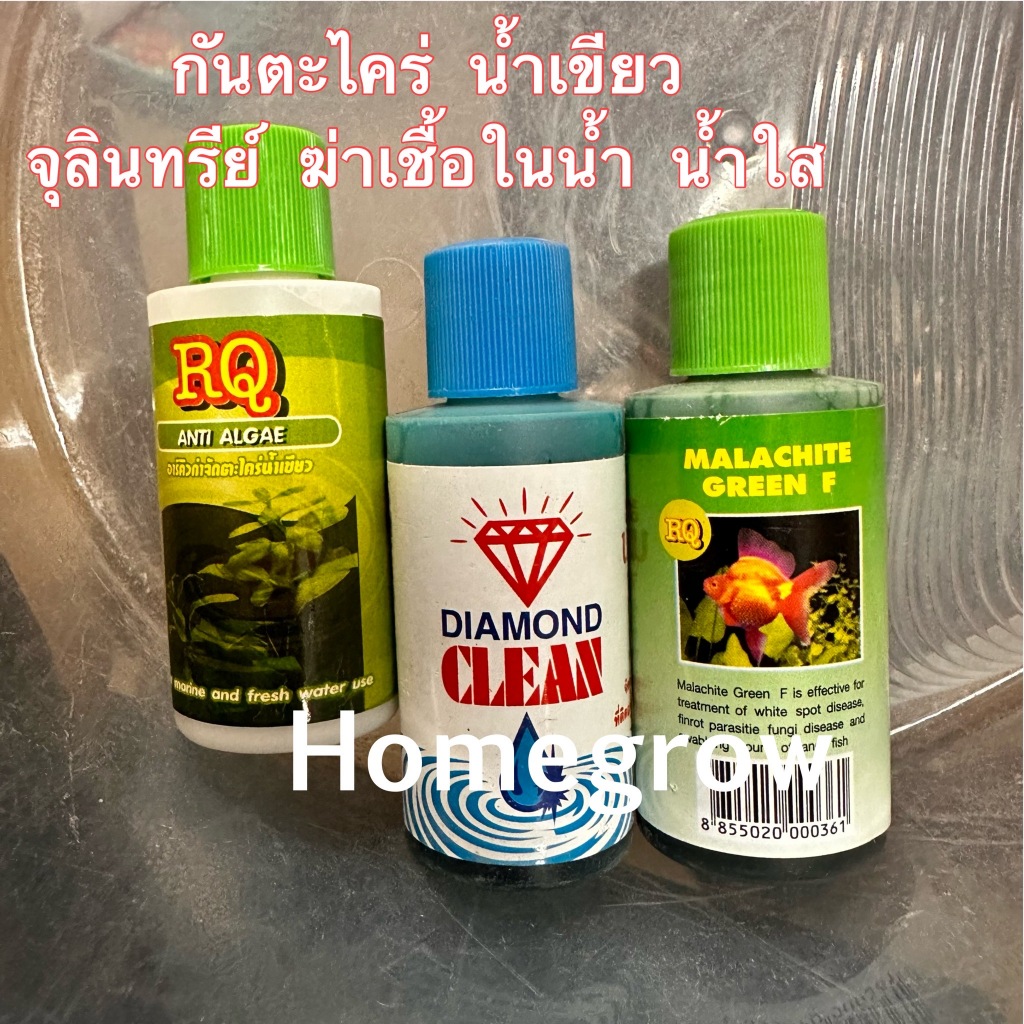 กำจัดตะไคร่ น้ำใส กำจัดของเสียในน้า พร้อมส่งในไทย จุลินทรีย์ ไบโอ มาลาไตท์