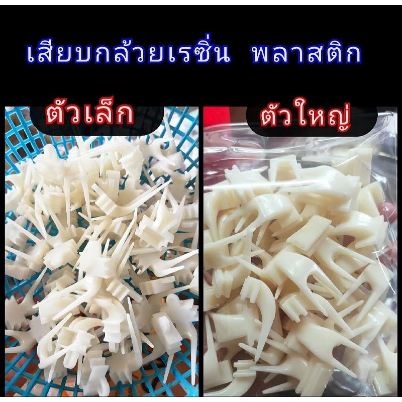 เสียบกล้วยพลาสติก (มี 2 ขนาด)📍