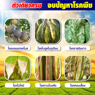 ชุดล้างต้น กำจัดเพลี้ย ล้างราดำ ราแป้ง กำจัดหนอนแมลง คลอร์ฟีนาเพอร์ + เฮกซะโคนาโซล เอเจนต้า คอร์ป (ชุดคู่)