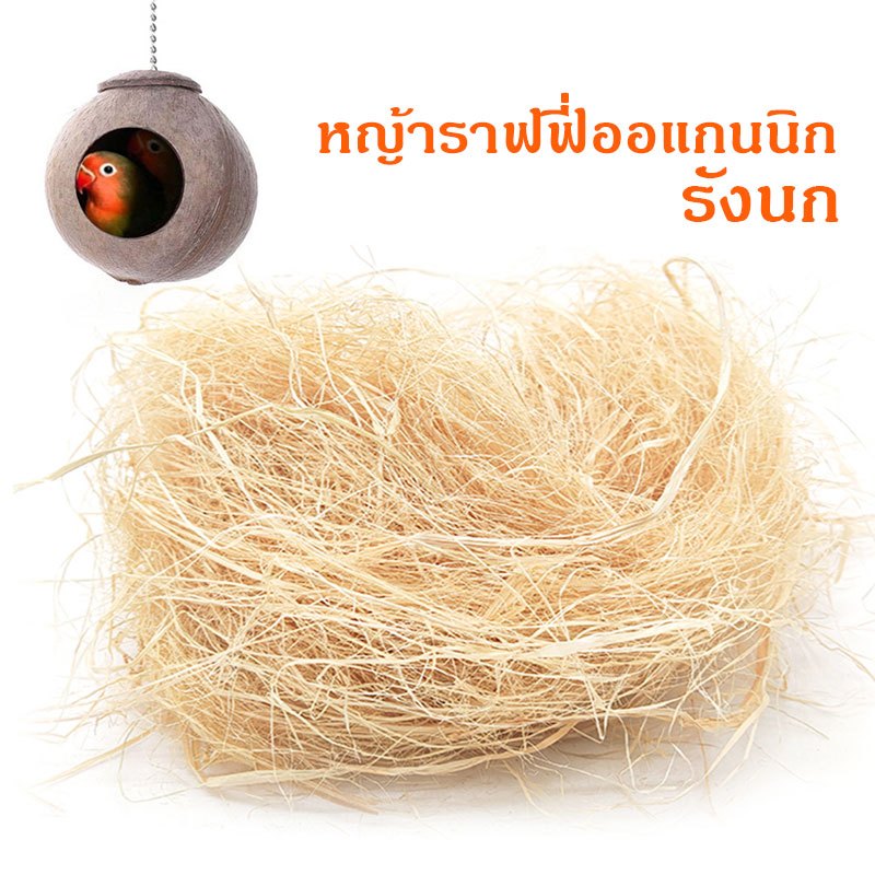 หญ้าราฟฟี่ส หญ้าราฟฟี่ออแกนนิก สำหรับรังนกกระสอบทราย รังไฟเบอร์ รังนกกรงนก รังนกขมิ้น 30 กรัม