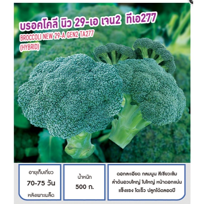 เมล็ดพันธุ์ บรอคโคลี บร็อคโคลี่ บรอกโคลี นิว 29 - เอ เจน 2 ทีเอ277 - Broccoli New -29-A Gen 2 ตราดอกแตง "เพื่อนเกษตรกร"