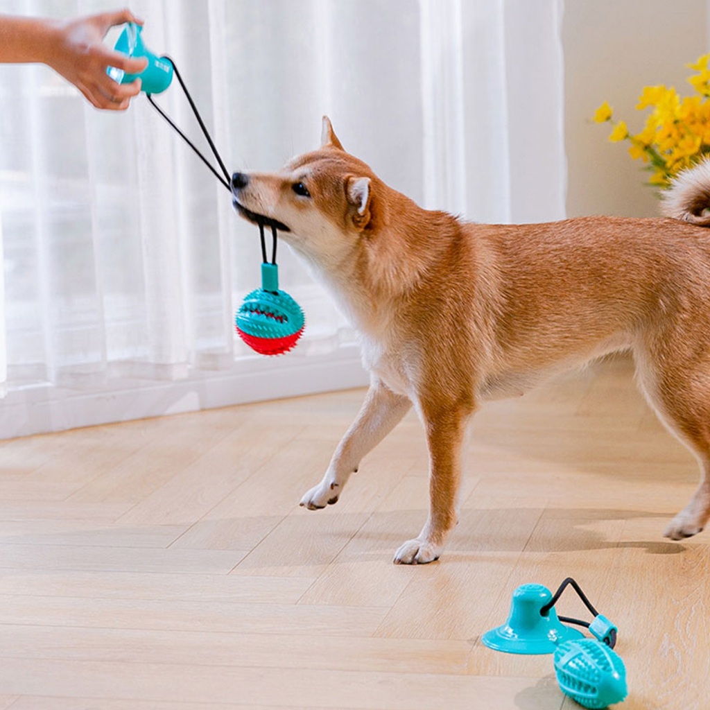 yoyopet: ของเล่นสุนัข Dog Puller เชือกดึง ลูกบอลเชือกดึง ที่กัดฟันสุนัข ยางกัดของเล่นหมา Dog Toy รูปที่ 5
