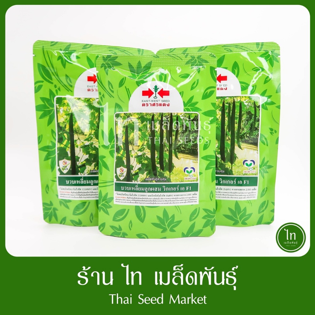 บวบเหลี่ยม วิกเกอร์เอ F1 เมล็ดพันธุ์บวบเหลี่ยม ตรา ศรแดงบรรจุ 250 กรัม (1,600 เมล็ด) / 50 กรัม (320 เมล็ด)