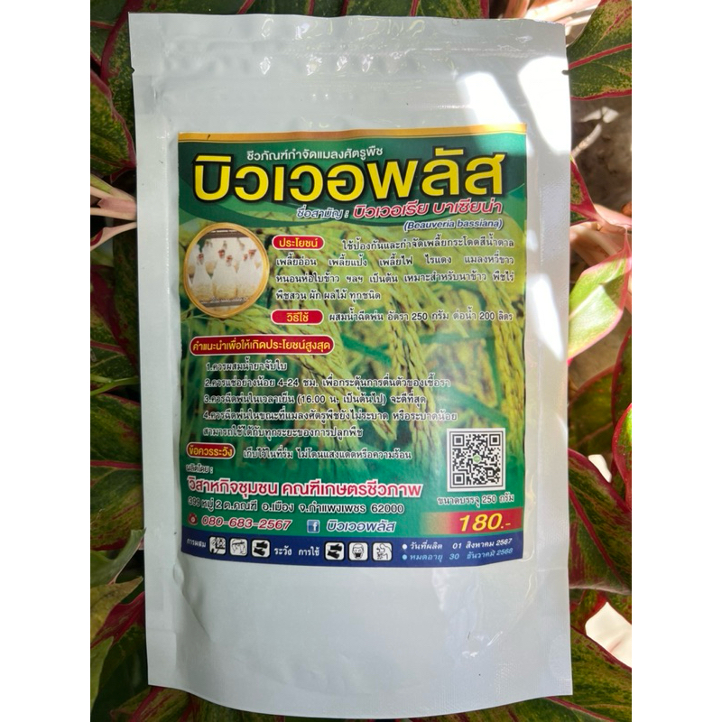 บิวเวอพลัส เชื้อราบิวเวอร์เรีย ชนิดแข้มข้น 250 กรัม