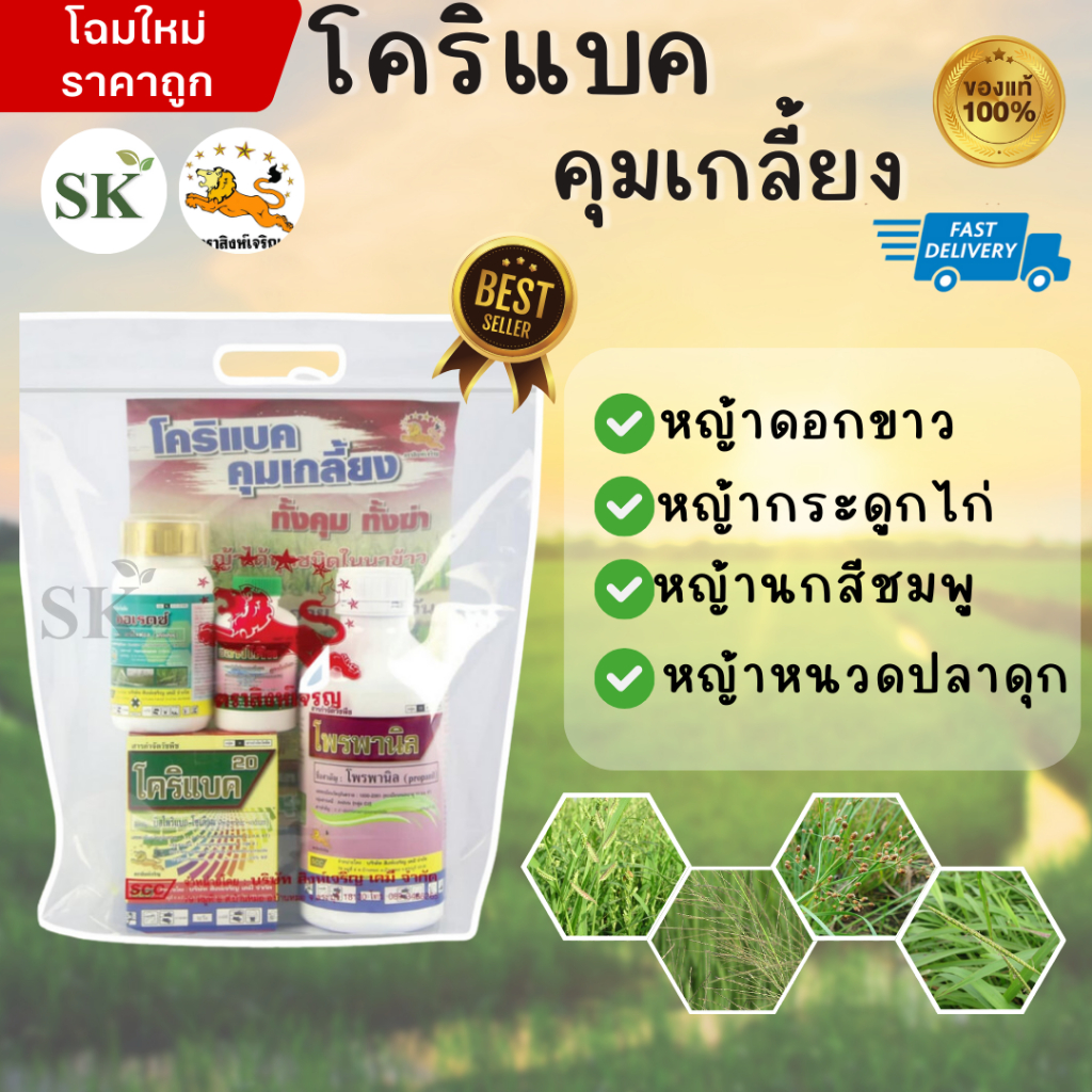 💥โคริแบคคุมเกลี้ยง ชุดคุมฆ่า หญ้าดื้อยา ข้าวนก ดอกขาว กระดูกไก่ 1 ชุด 5 ไร่ สำหร้บข้าว 7-14 วัน
