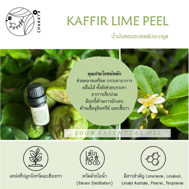 น้ำมันหอมระเหยผิวมะกรูด ชานาญา CHANAYA Kaffir Lime Peel 100% Essential Oil