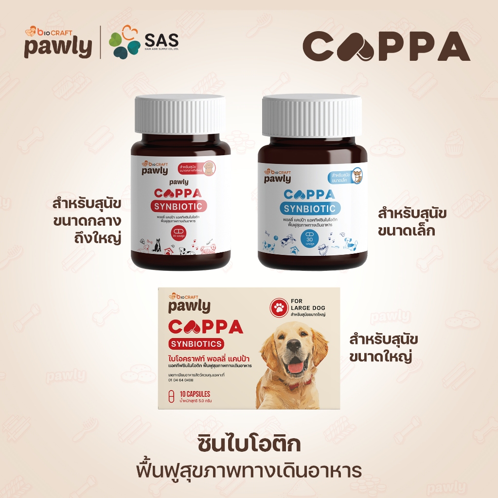 Pawly Cappa for Dog ช่วยดูแลท้องเสีย เสริมภูมิ ขับถ่ายเป็นก้อน ลดกลิ่นมูล ระบบลำไส้แข็งแรง