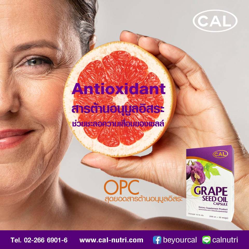 เคล Grape Seed Oil น้ำมันเมล็ดองุ่นสกัดเย็น ผลิตภัณฑ์เสริมอาหาร ชุดสุดคุ้ม - รูปที่ 6