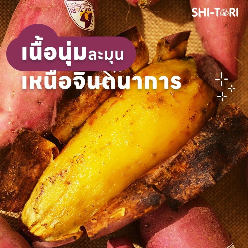 Shi-Tori | มันหวานญี่ปุ่น เบนิฮารุกะ Packsize 1kg. / 2kg. /3kg. กลิ่นหอม รสชาติหวาน เนื้อฉ่ำ