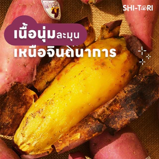 Shi-Tori | มันหวานญี่ปุ่น เบนิฮารุกะ Packsize 1kg. / 2kg. /3kg. กลิ่นหอม รสชาติหวาน เนื้อฉ่ำ