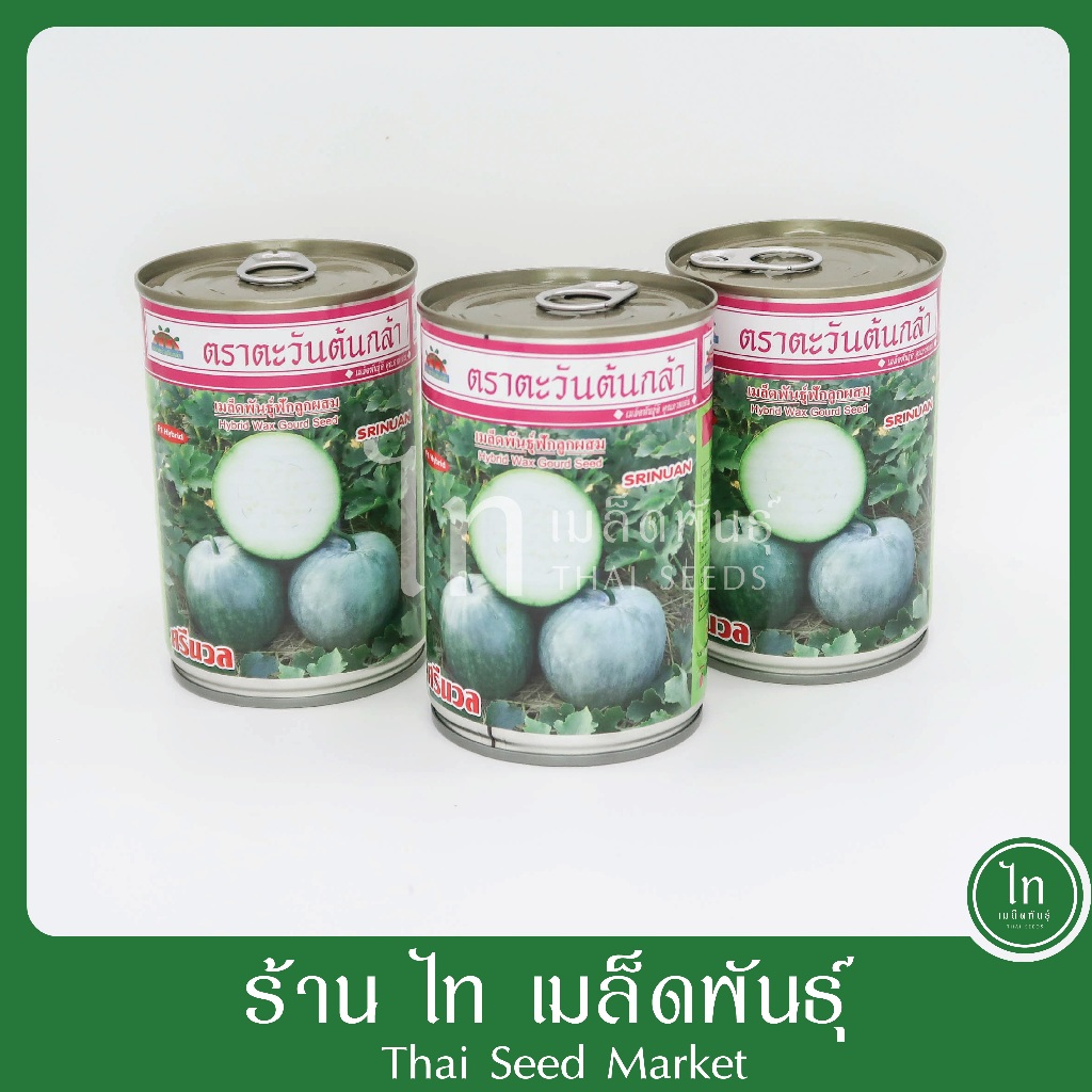 ฟักหอม ศรีนวล เมล็ดพันธุ์ แฟง ทรงกลมแป้น เปลือกเขียว ผลแก่นวล เนื้อหนา ตราตะวันต้นกล้า บรรจุ 50 กรัม