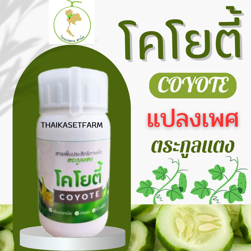 ฮอร์โมนแปลงเพศโคโยตี้💥ล้อตใหม่ล่าสุด💥ขนาด250cc. ติดดอก ติดผลดกขึ้น