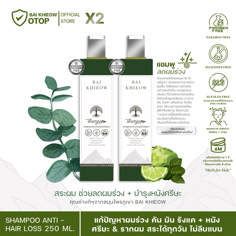 BAI KHIEOW | เเชมพูสมุนไพรมะกรูดใบหมี่ภูเขา ( 250 ML. X2 ขวด ) ผมร่วง ผมบาง สูตรอ่อนโยน ไม่แห้งแข็ง ผมขึ้นใหม่แข็งแรง