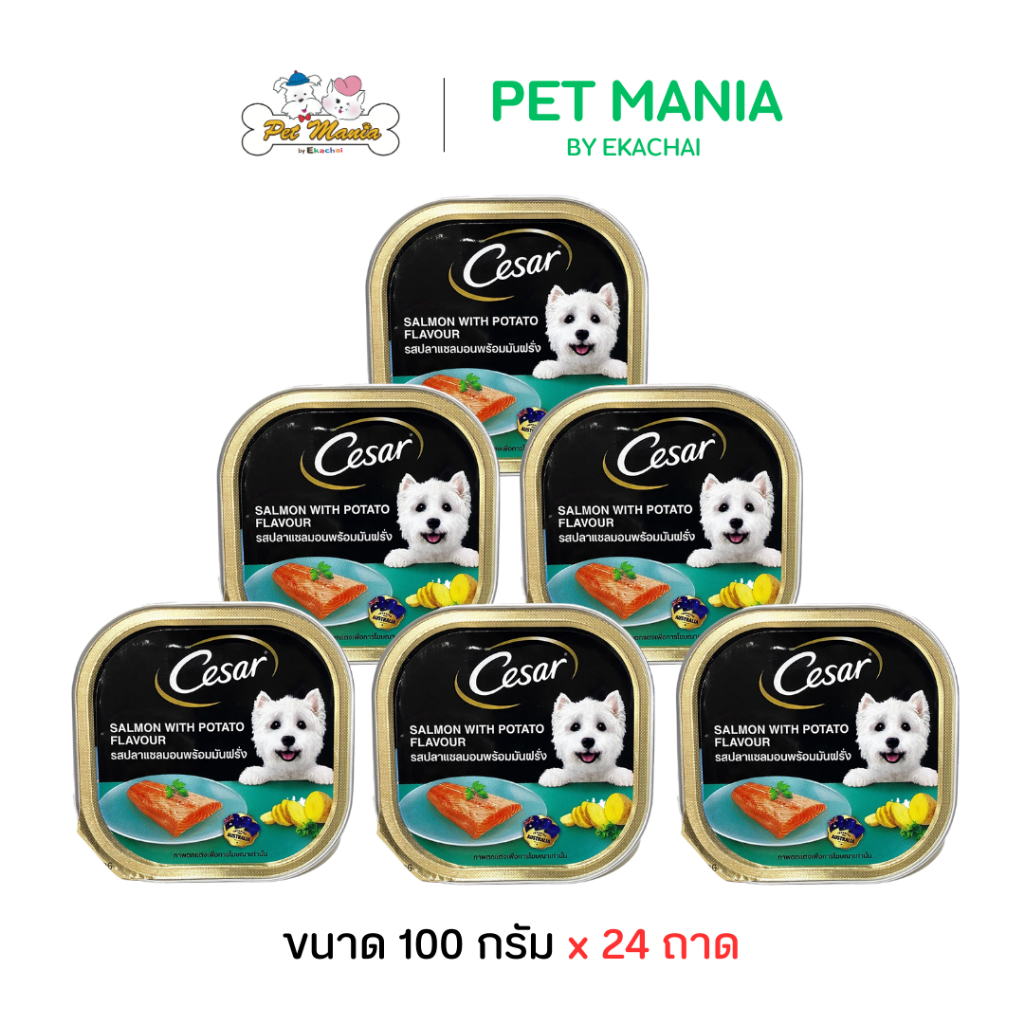 Cesar ซีซ่าร์ (24ถาด) อาหารเปียกแบบถาด รสปลาแซลม่อนและมันฝรั่ง ขนาด100g. No Ratings