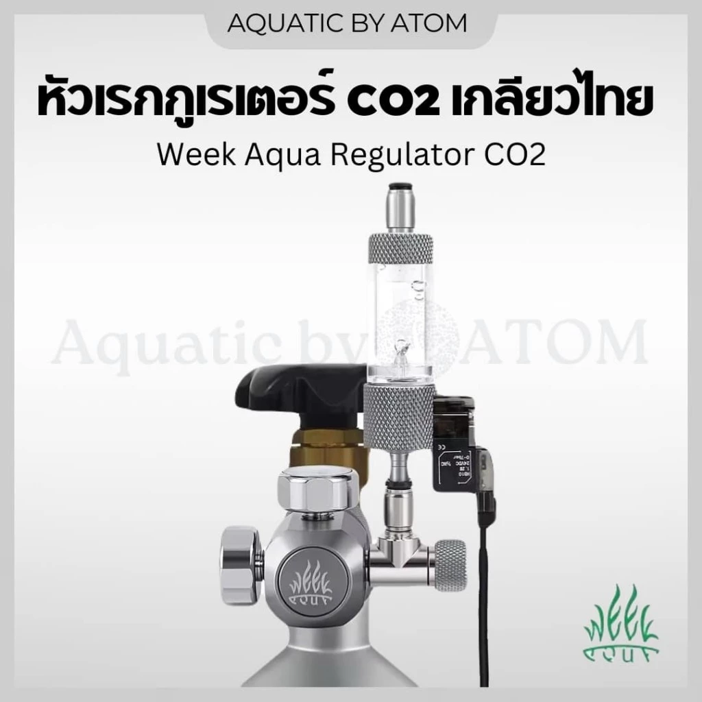 (พร้อมส่ง) Week Aqua CO2 Regulator เกลียวไทย CGA320 หัวเรกกูเรเตอร์สำหรับถังคาร์บอนไดออกไซด์