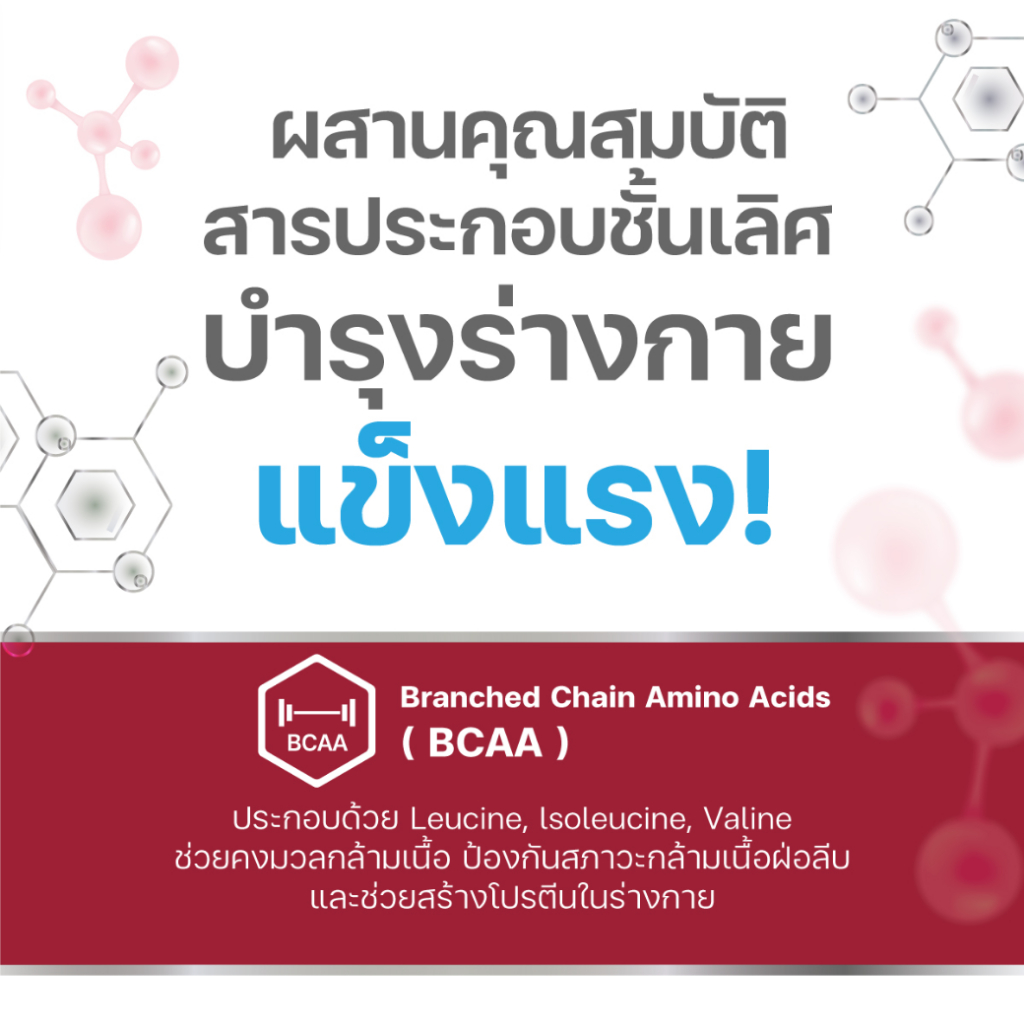 รูปภาพ 3