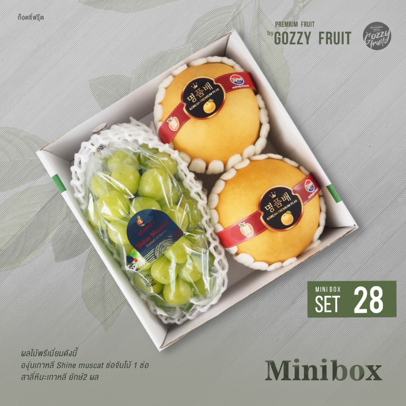 Premium fruit Mini box set 28