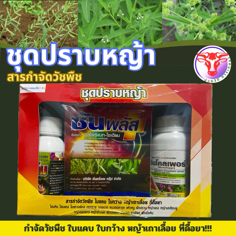 ✅ ชุดปราบหญ้า กำจัดวัชพืช ใบแคบ ใบกว้าง หญ้าเถาเลื้อย ที่ดื้อยา