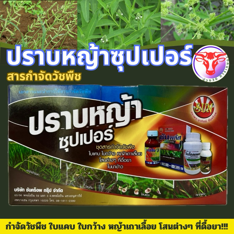 ✅ ชุดปราบหญ้าซุปเปอร์  กำจัดวัชพืช ใบแคบ ใบกว้าง หญ้าเถาเลื้อย ที่ดื้อยา