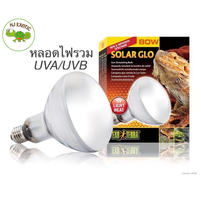 Solar Glo 80W (หลอดไฟจำลองแสงอาทิตย์ ความร้อนUVA+UVBในหนึ่งหลอด)