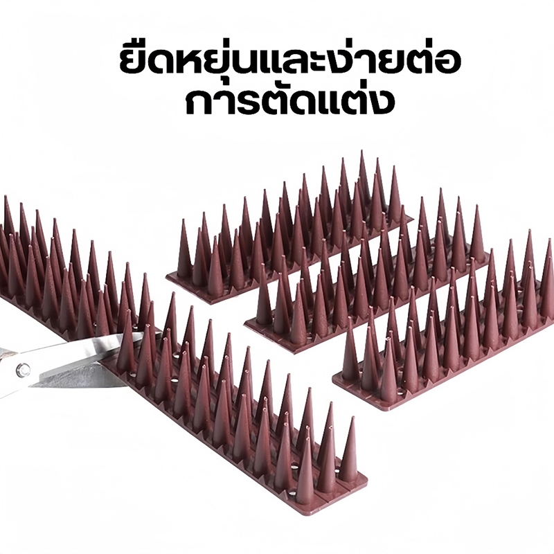 รูปภาพ 6