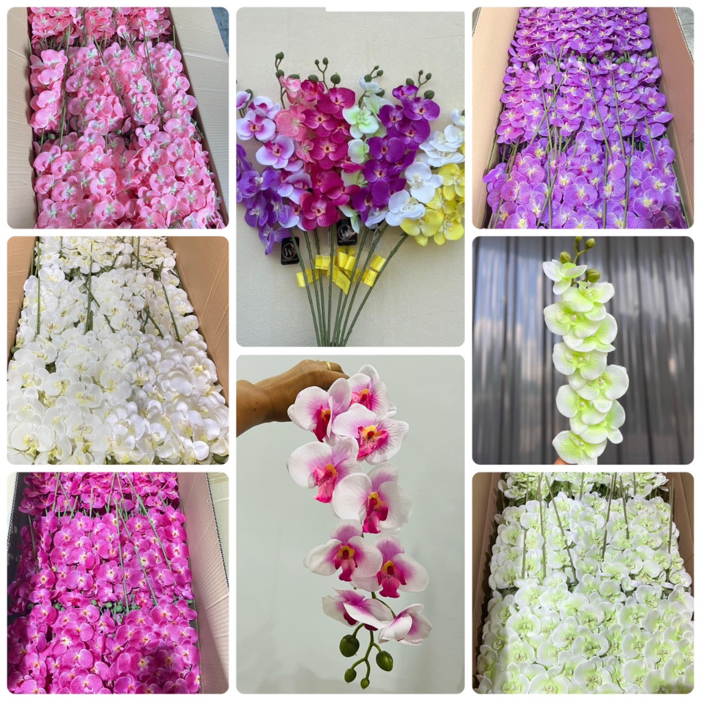 ดอกกล้วยไม้ ฟาแลนด์ ใบตกแต่ง กล้วยไม้ปลอม เสมือนจริง9ดอก+ตูม3 กล้วยไม้ปลอม ดอกไม้งานเกรด กล้วยไม้ฟาแลนด์ พร้อมส่งจากไทย