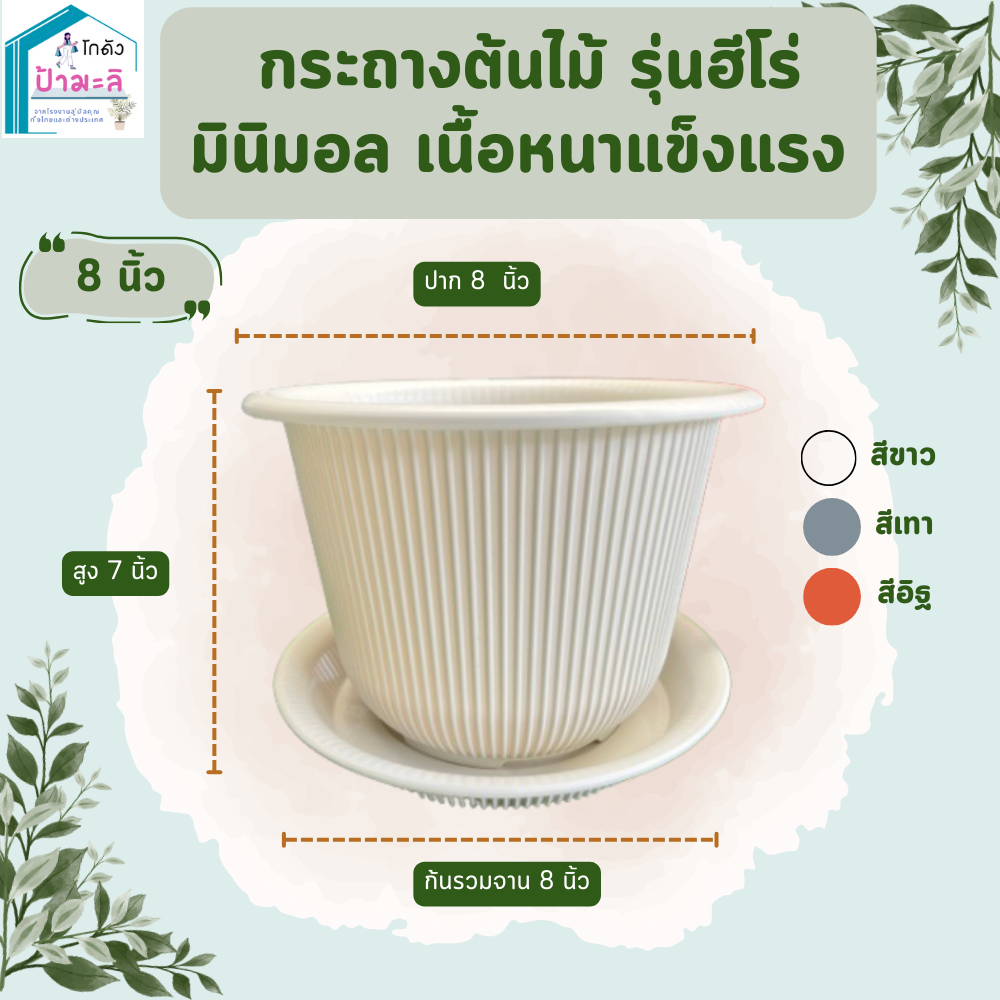กระถางต้นไม้ รุ่นฮีโร่ ขนาด 8 นิ้ว กระถางมินิมอล เนื้อหนา แข็งแรง พร้อมจาน