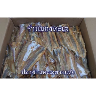 ปลาช่อนทะเลตากแห้ง ไซส์บางใหญ่รสชาติไม่เค็ม