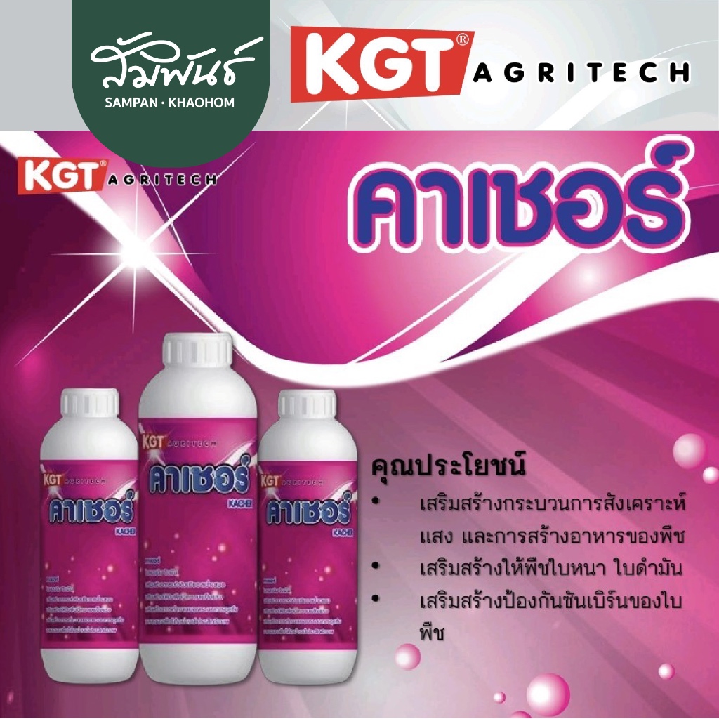 คาเชอร์  KGT เคจีที แมกนีเซียมเดี่ยว 1 ลิตร แมกนีเซียมเดี่ยว สูตรเข้มข้น ใบเขียว ใหญ่ เข้มเป็นมันวาว