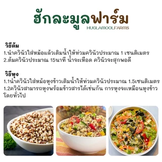 ควินัว 3สี ออร์แกนิคแท้ 500กรัม ตราฮักละมูลฟาร์ม ใหม่ หอม นุ่ม Organic Tricolor Quinoa