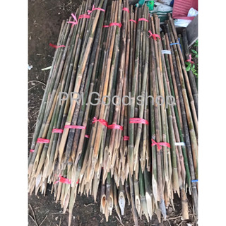 ไม้ไผ่ลำปลายแหลม ความยาว 120 เซนติเมตร กว้าง 1.5-2.2 ซม.ใช้ป…