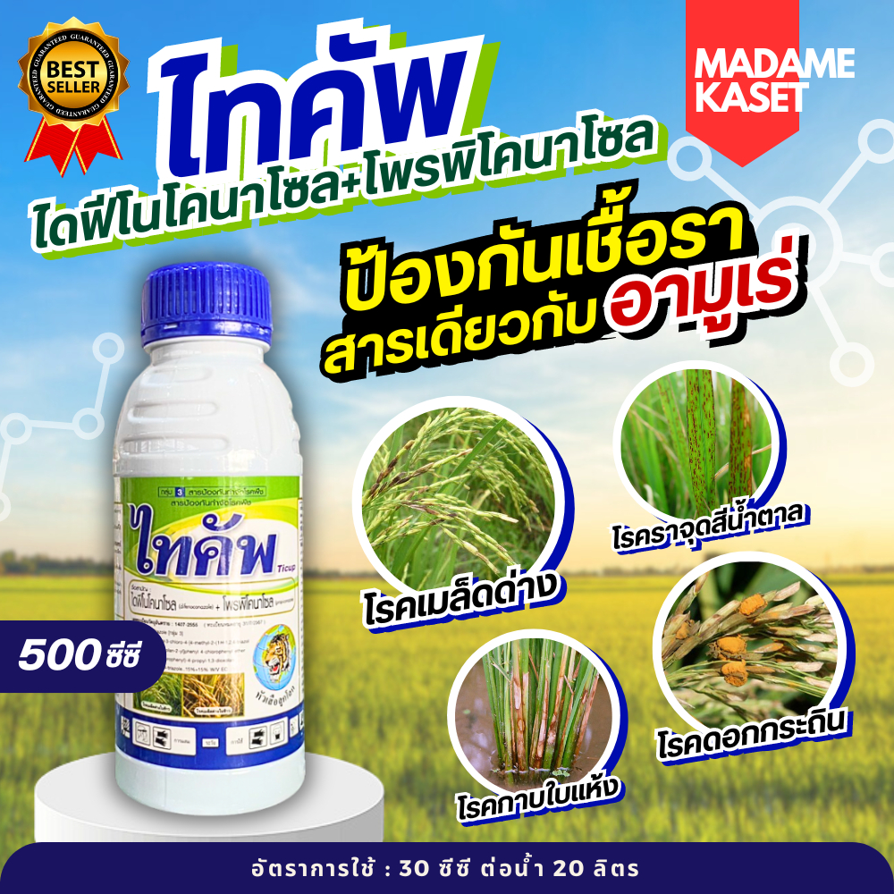 ไทคัพ 500 ซีซี (ไดฟีโนโคนาโซล+โพรพิโคลนาโซล) ตัวเดียวกับอามูเร่ ป้องกันเชื้อราเมล็ดด่าง-ดำ ราจุดน้ำตาล กาบใบแห้ง